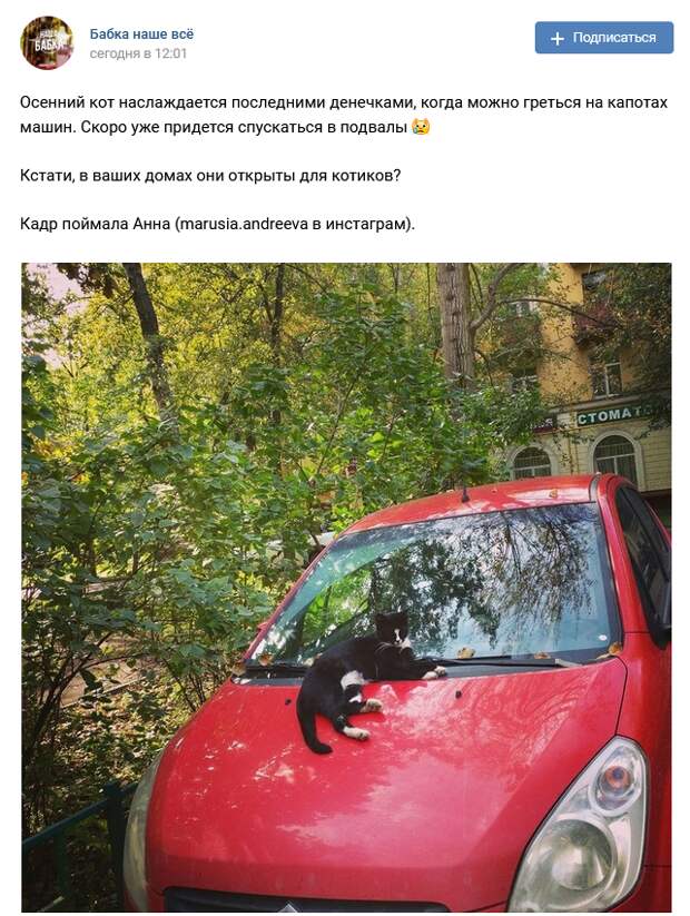 Фото дня: солнечная осень в Бабушкинском