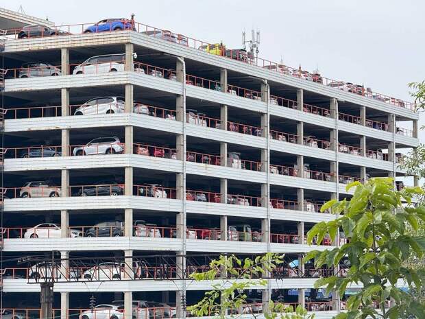 Новый утильсбор не остановил поток авто на Дальний Восток – наоборот, ввоз увеличился на четверть