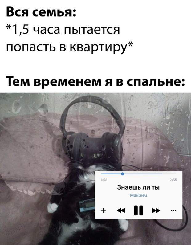 Смешные картинки 8 ноября 2021 года