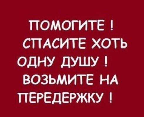 Помогите! Спасите хоть одну душу! Возьмите хотя бы на передержку!