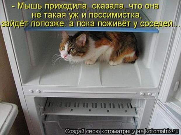 Котоматрицы(картинки с надписями)
