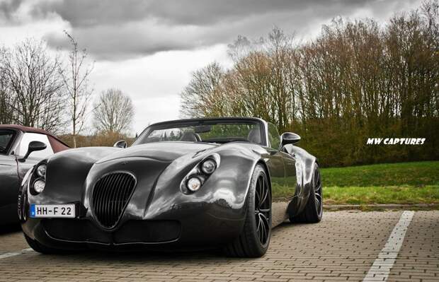 Встреча поклонников марки Wiesmann (27 фото+4 видео) Встреча поклонников марки Wiesmann (27 фото+4 видео)