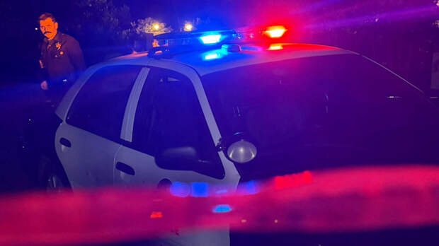 В Лос-Анджелесе грузовик врезался в толпу митингующих