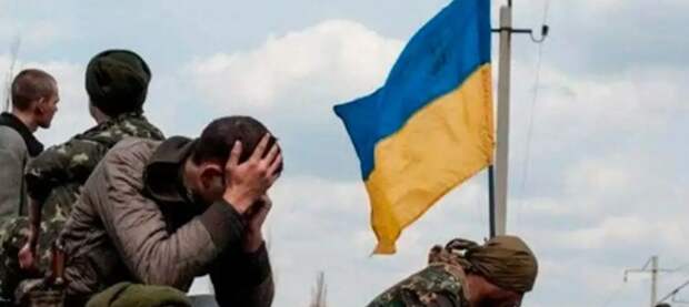 В лесах Сумской области пропали без вести несколько рот ВСУ - СМИ