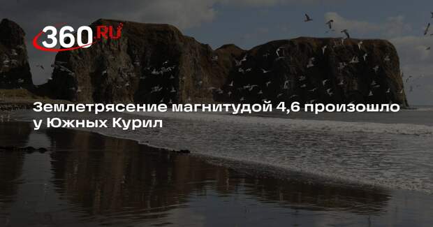Землетрясение магнитудой 4,6 произошло у Южных Курил