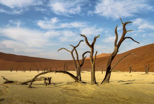 Sossusvlei24 Африка. Намибия. Пустыня Намиб   Соссусфлей