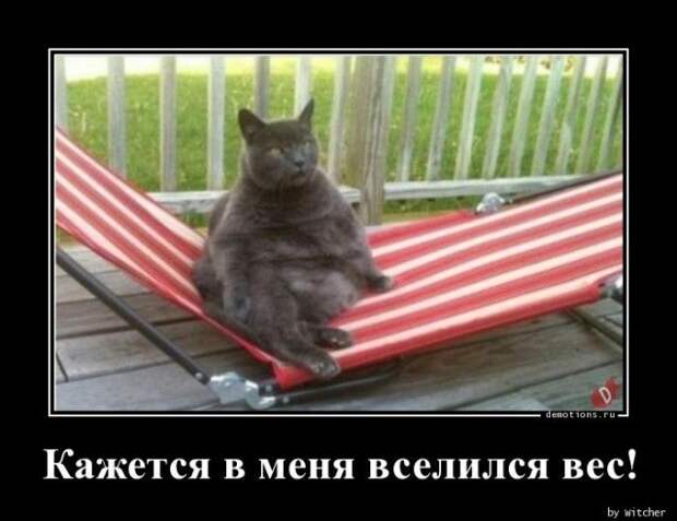 1592379266_demy-5.jpg