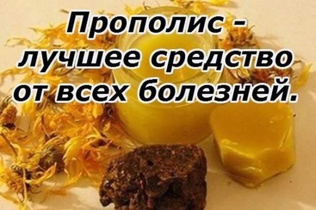 Прополис при болезнях