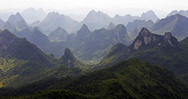 В Китае исследователи нашли первобытный лес на дне горной пещеры: Новости ➕1, 20.05.2022