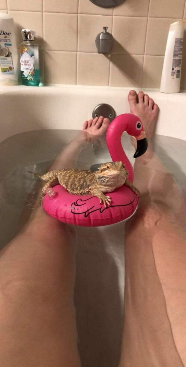 Фотоподборка