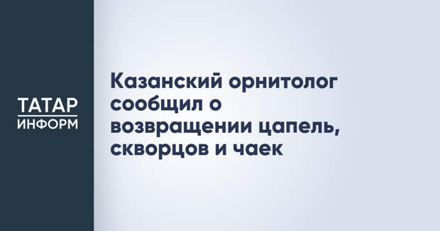Казанский орнитолог сообщил о возвращении цапель, скворцов и чаек