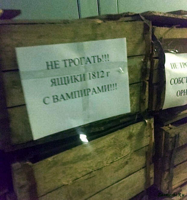 «Очень хочется увидеть вампира!» | Фото: Приколы.