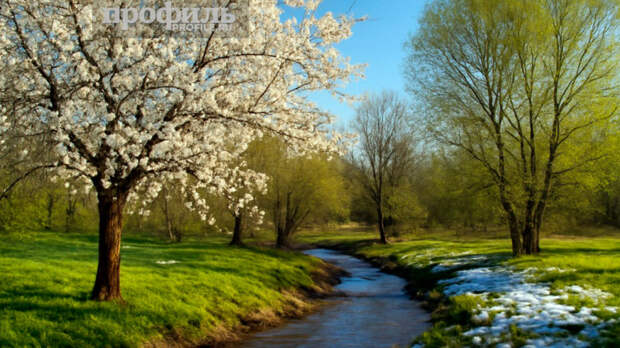 Народные приметы 25 марта: что можно и нельзя делать в этот день