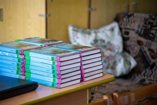 Южноуральские эксперты поделились мнением о «золотом стандарте» в образовании