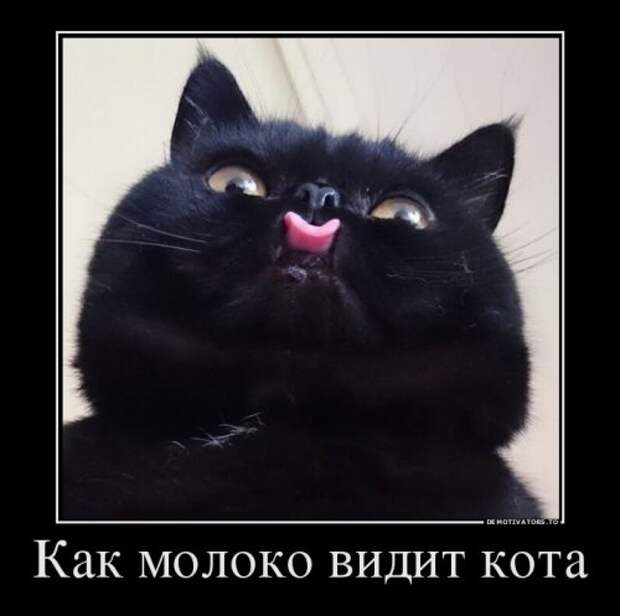 Новая порция демотиваторов (22 шт)
