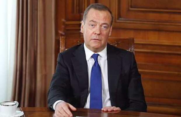 Медведев высказался о возможности германского сценария для будущего Украины | Русская весна