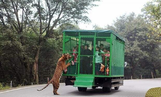 lehe-ledu-wildlife-zoo-wcht04-640x389