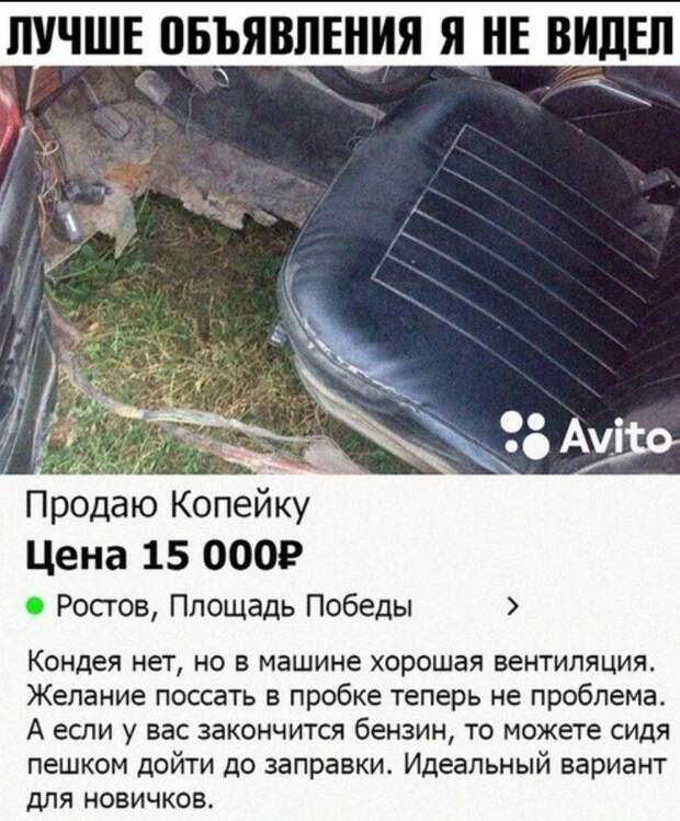 картинки прикольные смешные (4)