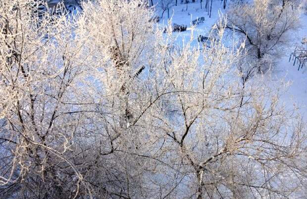 Завтра в Астраханской области мороз вновь устроит экстрим, ночью загнав температуру под -27°