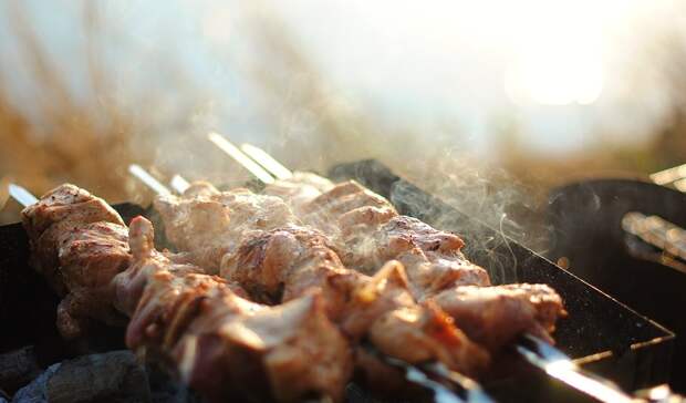 В Оренбурге временно закрыли «домашнюю» шашлычную