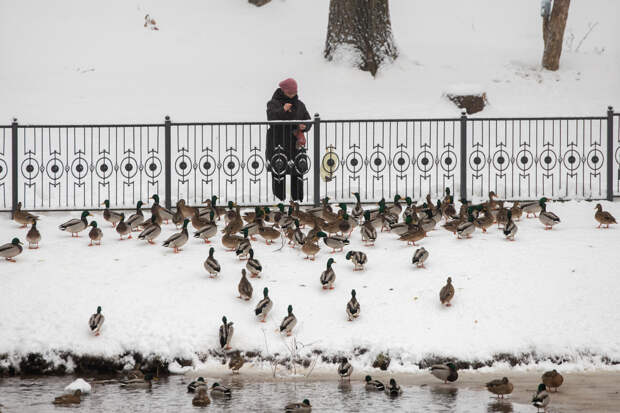 Роспотребнадзор дал рекомендации тулякам по восстановлению режима после праздников