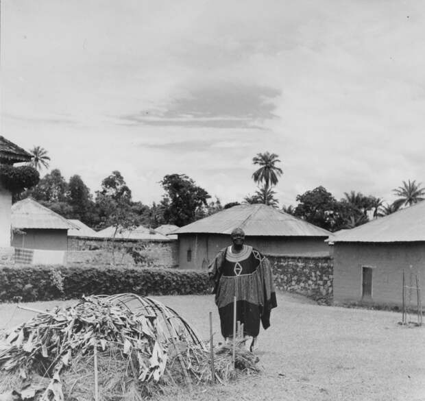 Фото №7 - Джералд Даррелл: экспедиция длиною в жизнь