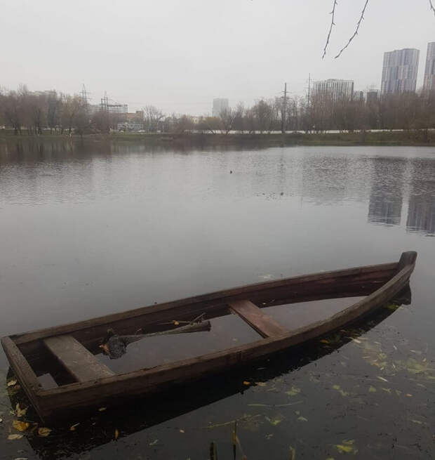 Фото предоставлено ГБУ "Жилищник Головинского района"