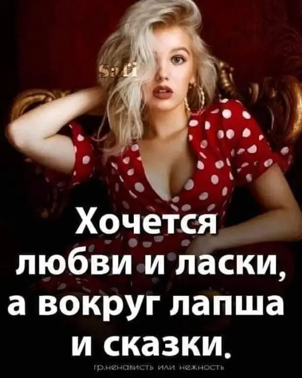 Когда слышишь вопрос жены 