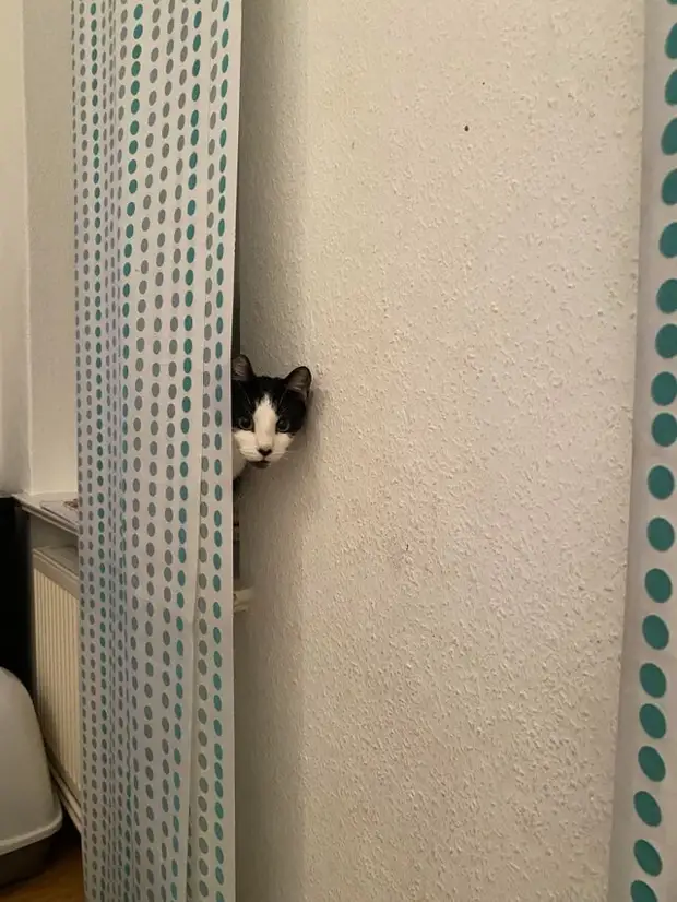 ?