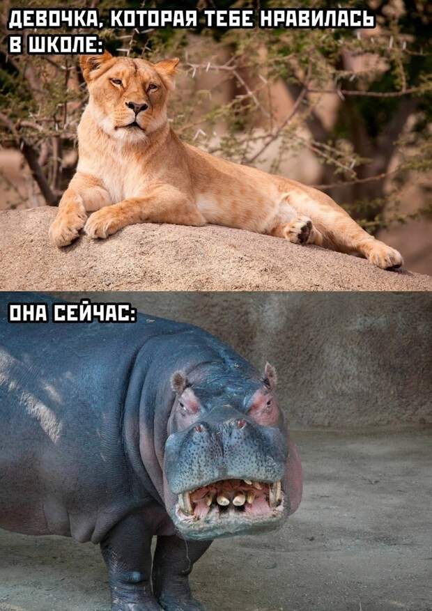 @psychology_funny #юмор #смешное #приколы