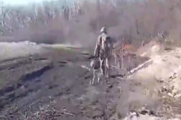 Паника в ВСУ: офицер объяснил массовое исчезновение боевиков под Сумами