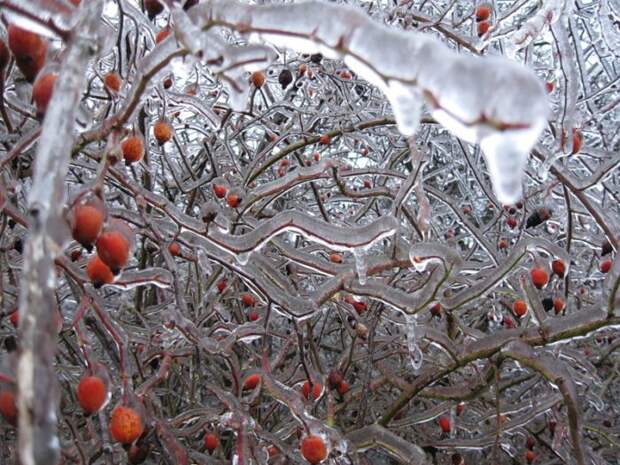 Красивые зимние фотографии (49 фото)