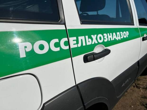 Россельхознадзор проверил 2,2 тыс. тонн продукции на станции Чита-1
