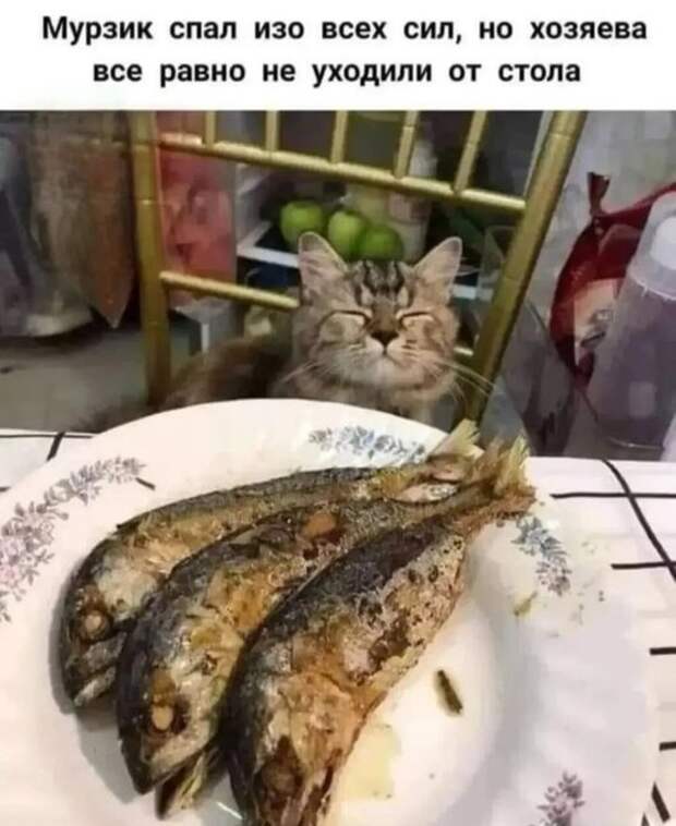 Что у нас на ужин?