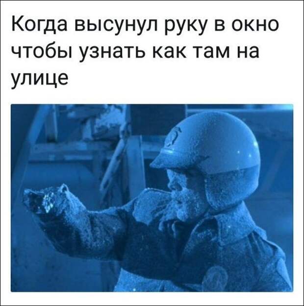 Фотоподборка