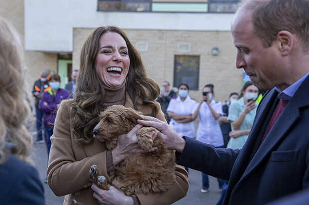 Маленькие пациенты и собака-терапевт: как прошел визит Кейт Миддлтон и принца Уильяма в больницу в Ланкашире