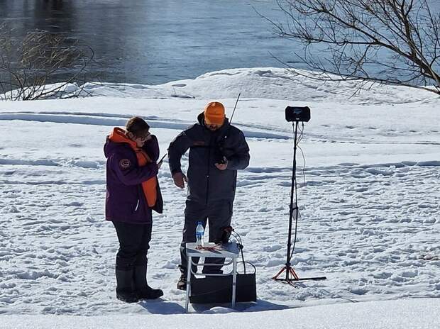 Спасатели раскрыли подробности по поиску семьи Усольцевых