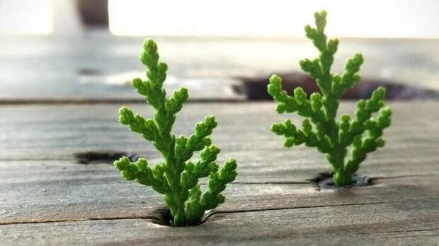 24 фото, доказывающих, что самая большая сила на Земле - природа, а не люди