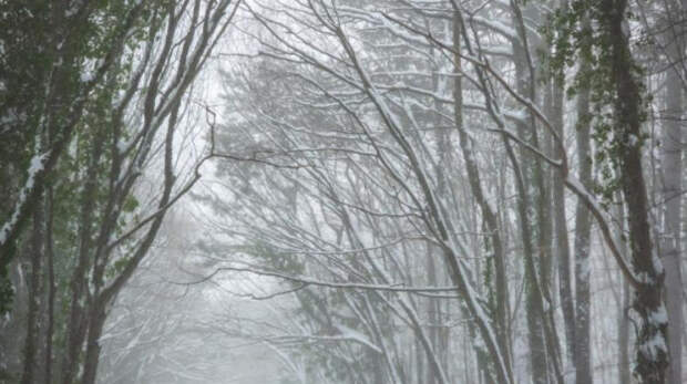 Дорога на плато Ай-Петри перекрыта до 6 января