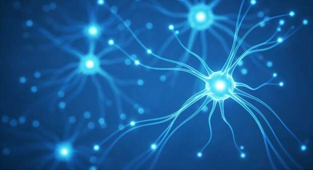 Учёные ИФ им. И. Павлова разработали метод восстановления ходьбы у пациентов с параличом