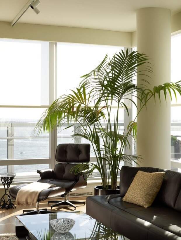 большая пальма в оформлении интерьера гостиной