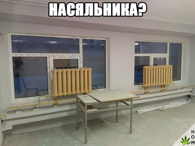 Забавные картинки с надписью для настроения (11 фото) Забавные картинки с надписью для настроения (11 фото)