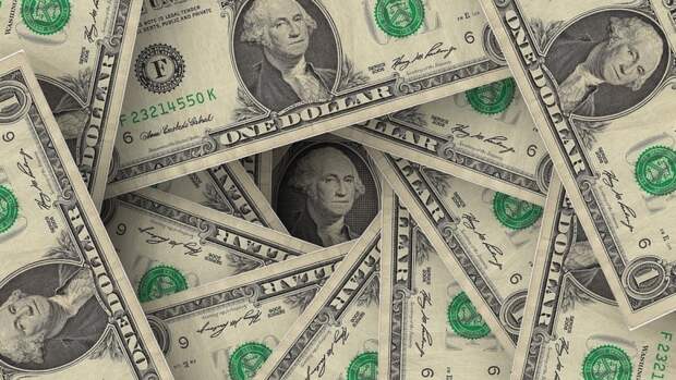 Жителям России предложили заменить доллар другой валютой