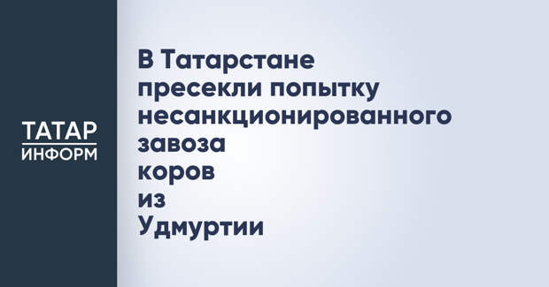 В Татарстане пресекли попытку несанкционированного завоза коров из Удмуртии