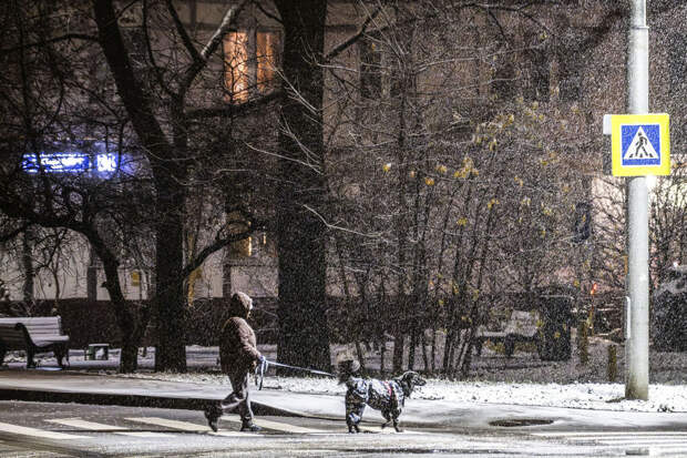 В Москве ожидается похолодание во второй половине недели