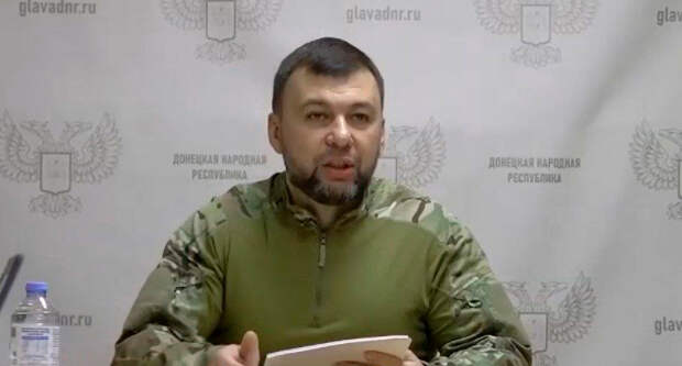 Глава ДНР Пушилин назвал мирную конференцию по Украине «симулякром»