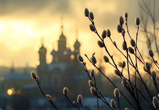 Какого числа Вербное воскресенье в 2026 году и что нельзя делать в этот день