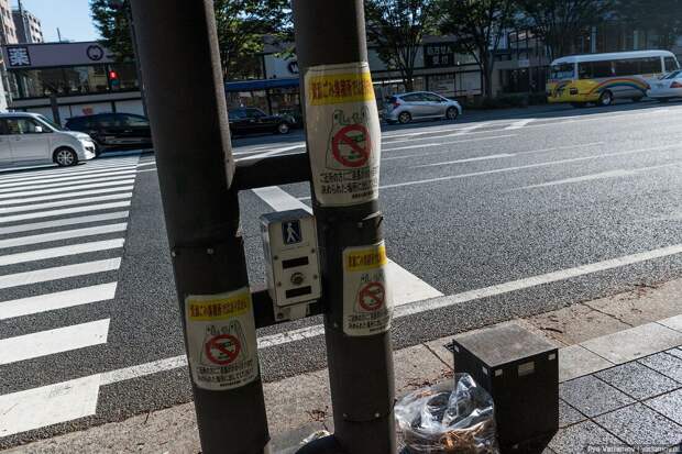 10 причин, почему я ненавижу Японию