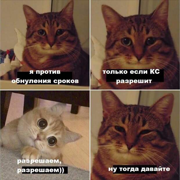 терешкова мемы