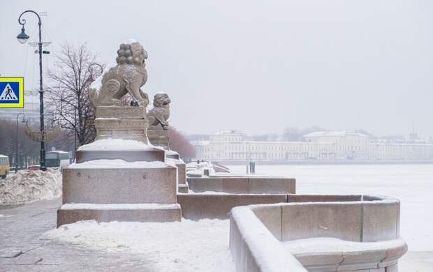До -9 градусов похолодает в Петербурге 12 февраля